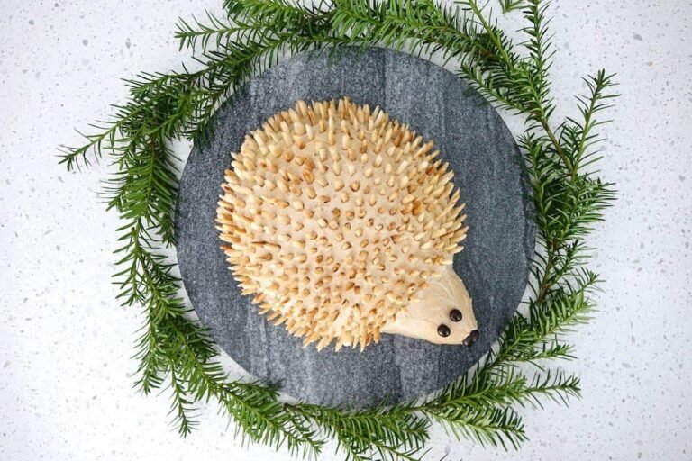 Der süßeste Igelkuchen!